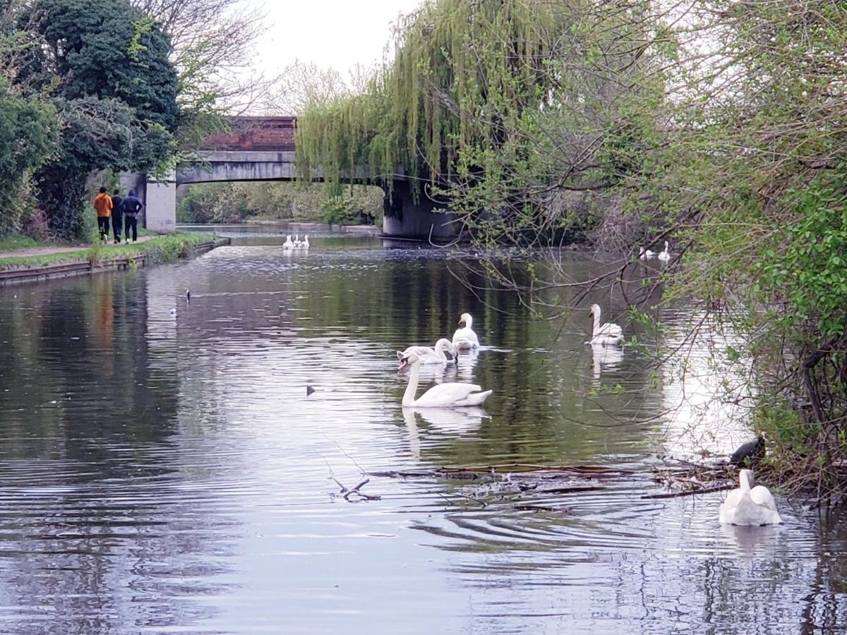 Ensuite Near Canal Homestay Southall